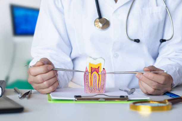 Best Pediatric Emergency Dentist in Port Barrington, IL